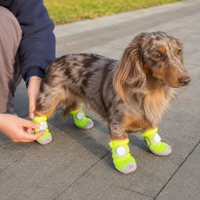 Komavic Breathable Mesh Dog Shoes with Rotary Dial