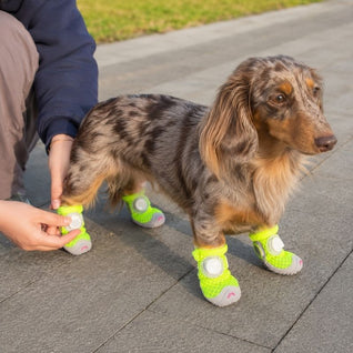 Komavic Breathable Mesh Dog Shoes with Rotary Dial