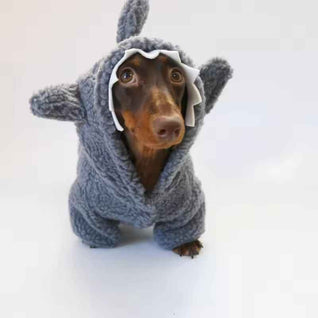 Komavic Plush Shark Dog Hoodie for Long-Body Dogs
