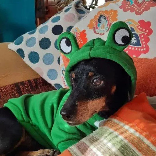 Komavic Frog Fleece Dog Hoodie