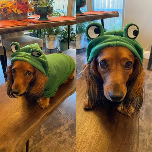 Komavic Frog Fleece Dog Hoodie