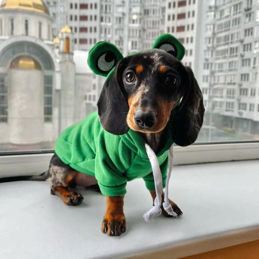 Komavic Frog Fleece Dog Hoodie