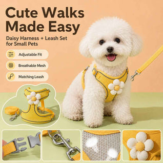 Komavic Daisy Pet Harness & Leash Set – Small Dogs & Cats