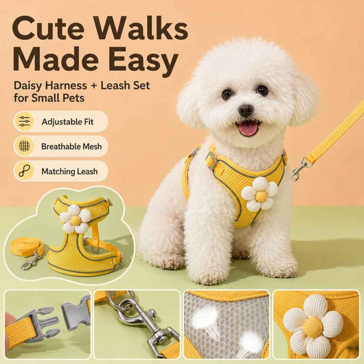 Paws in Awe Daisy Pet Harness & Leash Set for Daily Walks - Adjustable, Breathable Comfort for Small Dogs & Cats