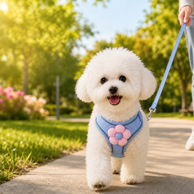 Komavic Daisy Pet Harness & Leash Set – Small Dogs & Cats