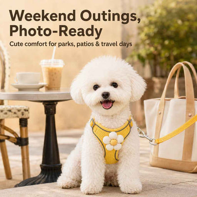 Paws in Awe Daisy Pet Harness & Leash Set for Daily Walks - Adjustable, Breathable Comfort for Small Dogs & Cats