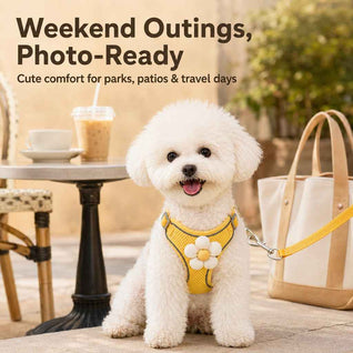 Komavic Daisy Pet Harness & Leash Set – Small Dogs & Cats