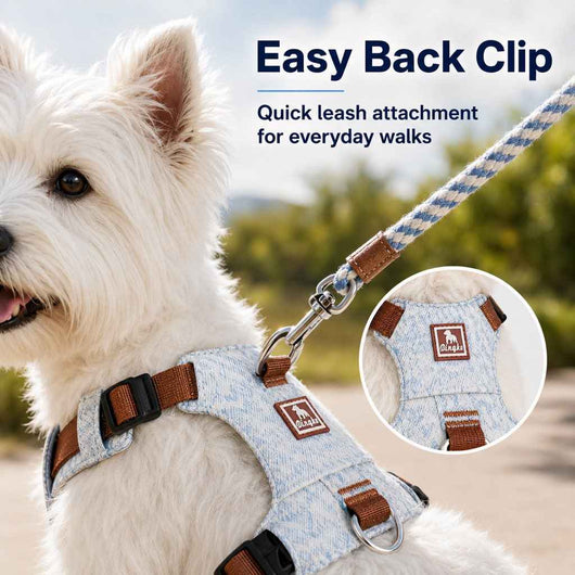 Paws in Awe Vintage Denim No-Pull Dog Harness &5 ft Rope Leash Set - Soft Adjustable Vest for Everyday Walks, Better Control & Low-Light Visibility