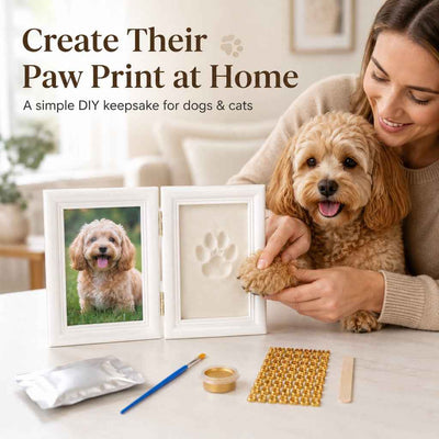 Paws in Awe Pet Paw Print Frame Kit for Dogs & Cats - DIY Keepsake Photo Frame for Home Display, First Paw Memories & Pet Loss Sympathy Gift