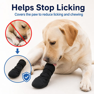 Komavic Dog Paw Recovery Boot