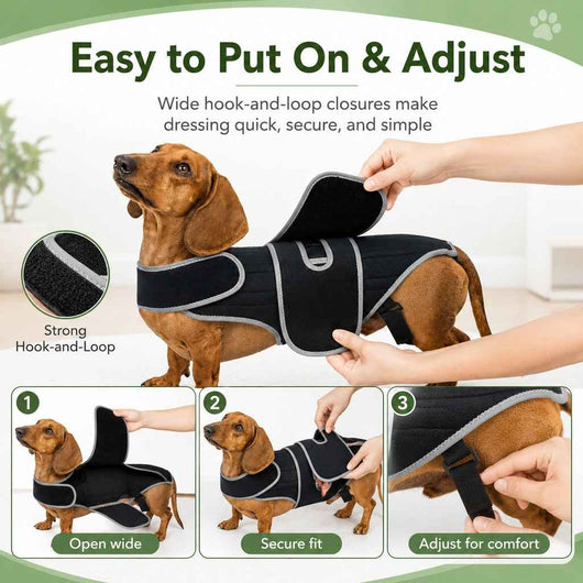 Paws in Awe Dog Back Support Vest for Daily Walks & Home Recovery - Adjustable Support for Long-Backed and Senior Dogs
