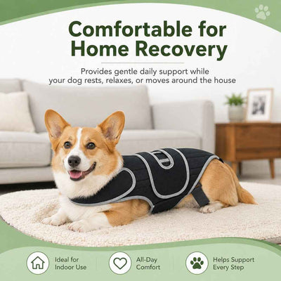 Paws in Awe Dog Back Support Vest for Daily Walks & Home Recovery - Adjustable Support for Long-Backed and Senior Dogs