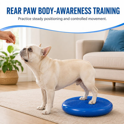 Komavic Dog Balance Disc At-Home Coordination Training