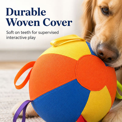 Inflatable Dog Play Ball Chase & Tug Toy