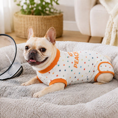Komavic Dog Recovery Suit Soft Cone Alternative