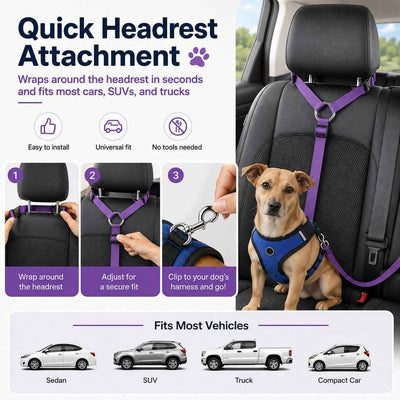 Paws in Awe Adjustable Dog Car Seat Belt for Back Seat Travel - Helps Keep Pets Secure & Reduce Driver Distraction
