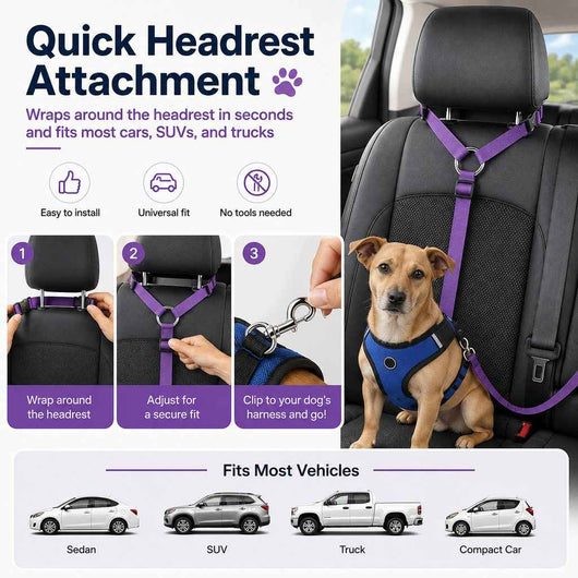 Paws in Awe Adjustable Dog Car Seat Belt for Back Seat Travel - Helps Keep Pets Secure & Reduce Driver Distraction