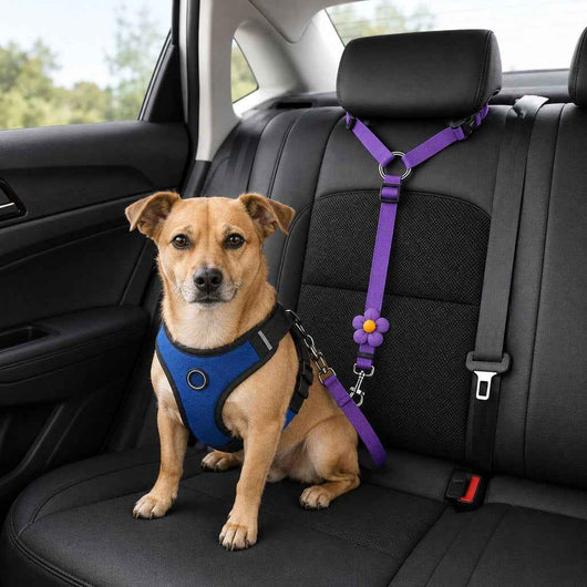 Paws in Awe Adjustable Dog Car Seat Belt for Back Seat Travel - Helps Keep Pets Secure & Reduce Driver Distraction