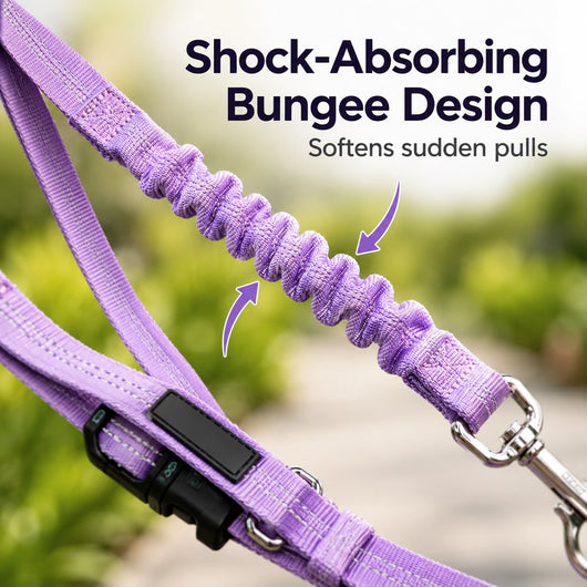 Hands-Free Shock-Absorbing Dog Leash for Running, Walking & Car Travel - Bungee Leash Helps Reduce Pulling