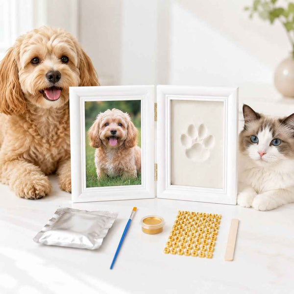 Paws in Awe Pet Paw Print Frame Kit for Dogs & Cats - DIY Keepsake Photo Frame for Home Display, First Paw Memories & Pet Loss Sympathy Gift