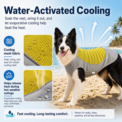 Komavic Dog Cooling Vest Water-Activated Summer Relief