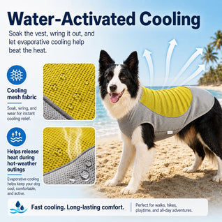 Komavic Dog Cooling Vest Water-Activated Summer Relief