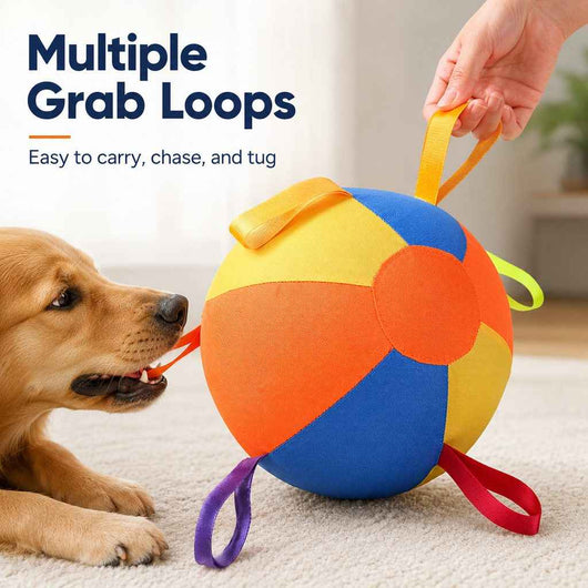 Paws in Awe Inflatable Dog Play Ball for Backyard & Indoor Play - Oversized Chase and Tug Toy to Burn Energy and Ease Boredom