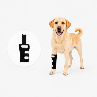 Komavic Dog Front Leg Brace for Weak or Injured Legs - Adjustable Support for Stability, Recovery & Daily Walking Comfort