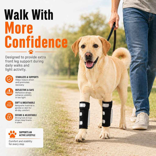 Paws in Awe Dog Front Leg Brace for Weak or Injured Legs - Adjustable Support for Stability, Recovery & Daily Walking Comfort