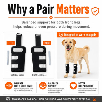 Komavic Dog Front Leg Brace for Weak or Injured Legs - Adjustable Support for Stability, Recovery & Daily Walking Comfort