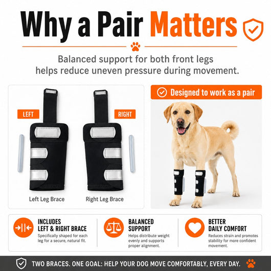 Komavic Dog Front Leg Brace for Weak or Injured Legs - Adjustable Support for Stability, Recovery & Daily Walking Comfort