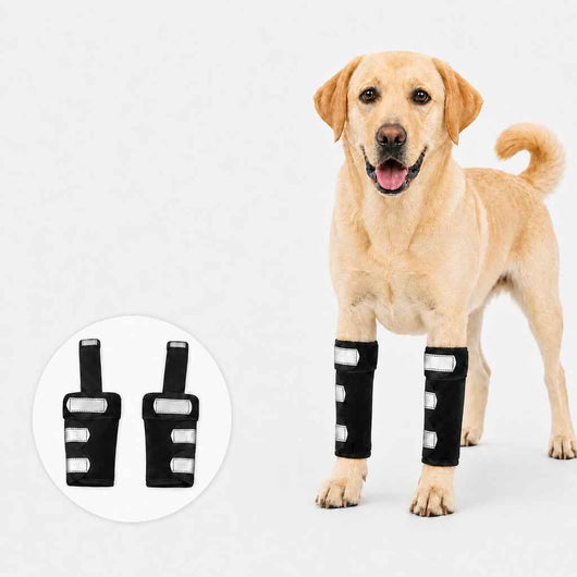 Paws in Awe Dog Front Leg Brace for Weak or Injured Legs - Adjustable Support for Stability, Recovery & Daily Walking Comfort