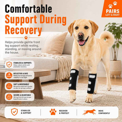 Paws in Awe Dog Front Leg Brace for Weak or Injured Legs - Adjustable Support for Stability, Recovery & Daily Walking Comfort