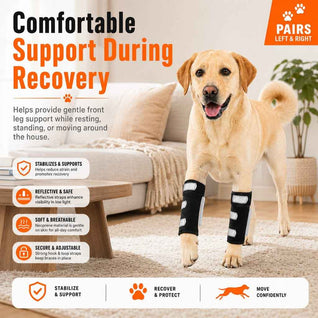Komavic Dog Front Leg Brace for Weak or Injured Legs - Adjustable Support for Stability, Recovery & Daily Walking Comfort