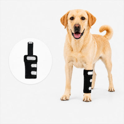 Komavic Dog Front Leg Brace for Weak or Injured Legs - Adjustable Support for Stability, Recovery & Daily Walking Comfort