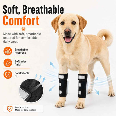 Paws in Awe Dog Front Leg Brace for Weak or Injured Legs - Adjustable Support for Stability, Recovery & Daily Walking Comfort