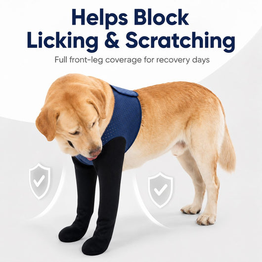 Front Leg Recovery Sleeves for Dogs