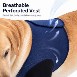 Komavic Dual Front Leg Recovery Sleeves for Dogs