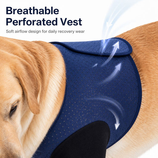 Front Leg Recovery Sleeves for Dogs