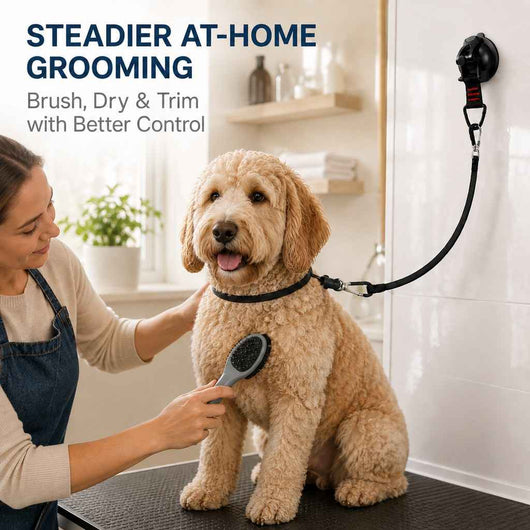 Hands-Free Dog Bathing & Grooming Suction Cup Tether - Less Chasing, Easier At-Home Grooming