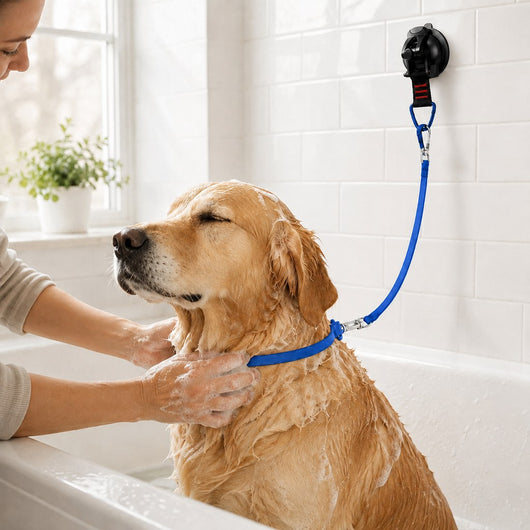 Hands-Free Dog Bathing & Grooming Suction Cup Tether - Less Chasing, Easier At-Home Grooming
