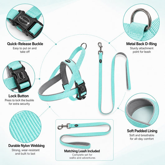 Komavic Quick-Fit Dog Harness & Leash Set