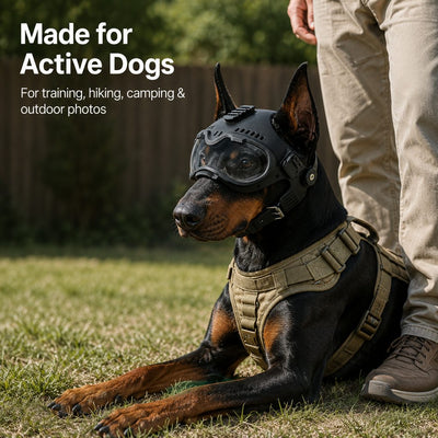 Komavic K9 Dog Helmet with Goggles