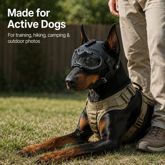 Komavic K9 Dog Helmet with Goggles