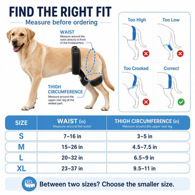 Komavic Dog Hip & Rear Leg Brace Dual Hind-Leg Support