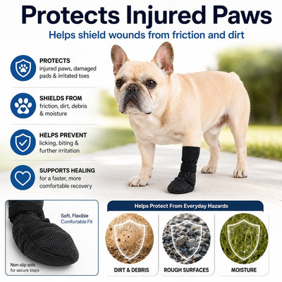 Komavic Dog Paw Recovery Boot