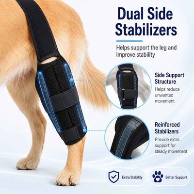 Paws in Awe Adjustable Dog Leg Support Brace for Daily Walks - Support for Weak Front or Hind Legs