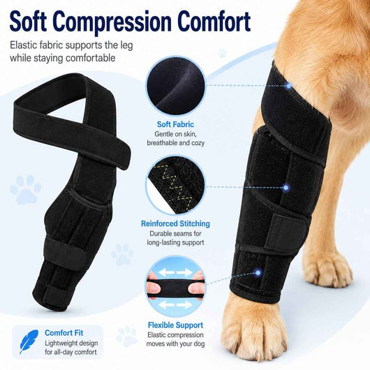 Paws in Awe Adjustable Dog Leg Support Brace for Daily Walks - Support for Weak Front or Hind Legs
