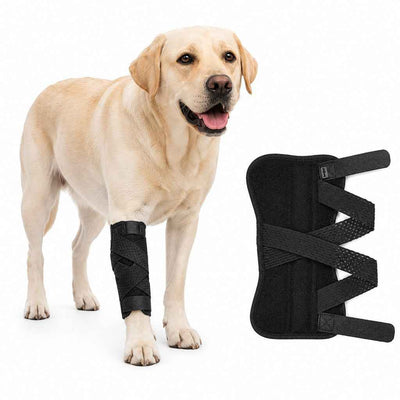 Paws in Awe Dog Leg Recovery Support Brace for Senior Dogs & Post-Surgery Wound Protection - Adjustable Front & Rear Leg Stabilizer