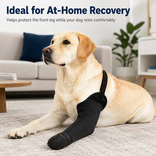 Komavic Dog Front Leg Sleeve Recovery & Lick Protection